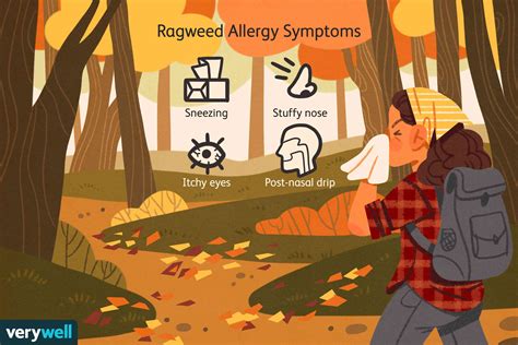 Ragweed Allergy Overview And More