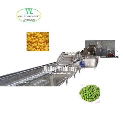 Maize Threshing Washing Blanching Cooling And Freezing Machines China