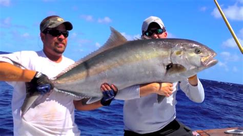 Giant Amberjack Fishing In Islamorada Florida 2012 Youtube