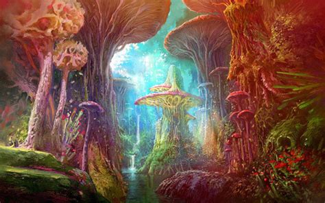 Mushroom Forest On Tumblr
