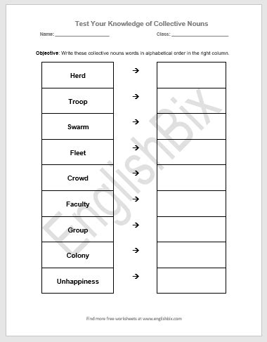 Write The Collective Noun Words In Alphabetical Order Englishbix