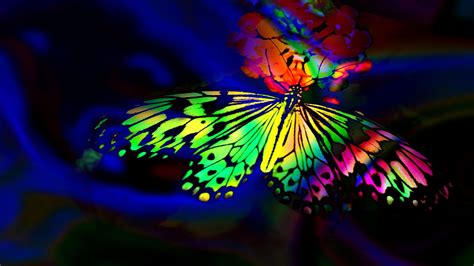 Rainbow Butterfly Wallpapers Top Free Rainbow Butterfly Backgrounds Wallpaperaccess