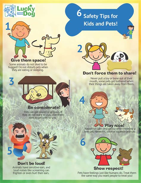 6 Safety Tips For Kids And Pets Lucky Dog Animal Rescue