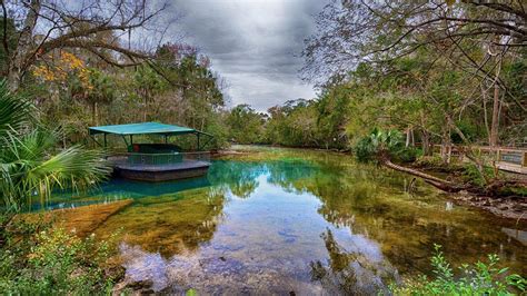 Ellie Schiller Homosassa Springs Wildlife State Park In Orlando