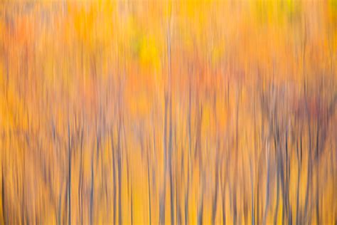 Autumn Abstract Massachusetts Lance B Carter Photography