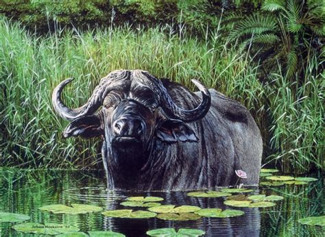 Buffalo 1993 Johan Hoekstra Wildlife Art Johan Hoekstra Wildlife Art