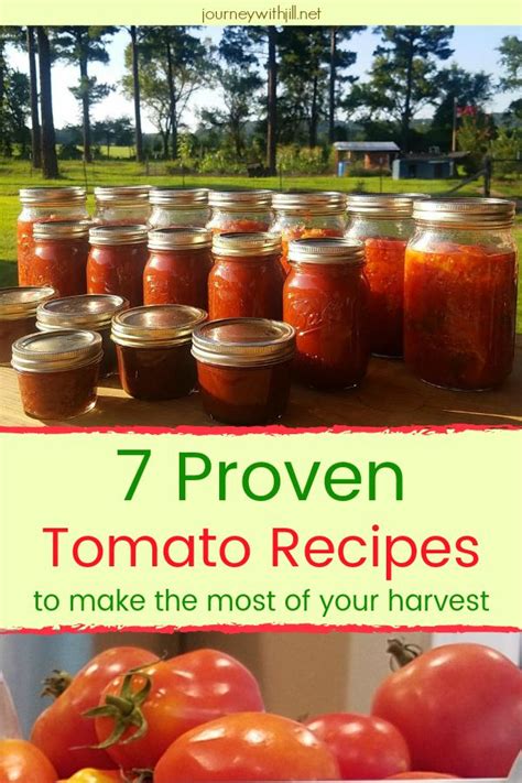 Preserving Tomatoes Making The Most Of Your Harvest The Beginners