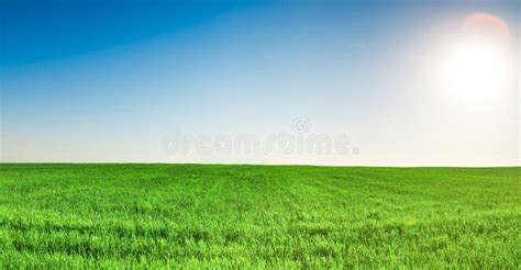 Panorama Of Grass Field Under Blue Sky And Sun Stock Image Image Of