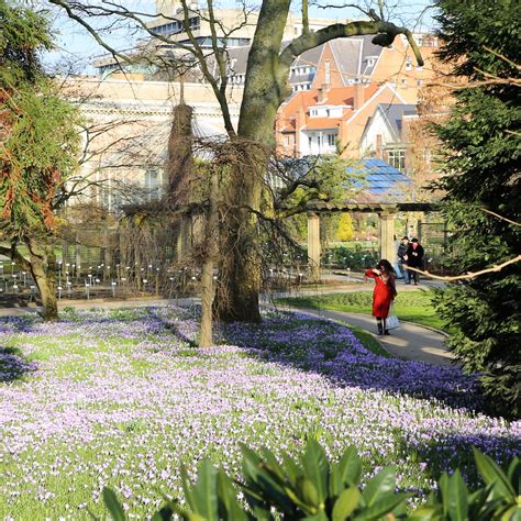 Early Spring In The Botanical Garden Of Leuven Kristel Van Loock Flickr