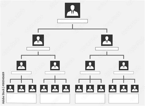 Organization Chart Tree Corporate Hierarchy Pyramid Illustration Stock