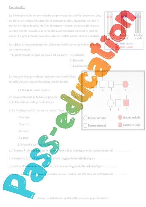 Modifications et intégration des exercices s c 2007 Information génétique - Exercices corrigés - Remédiation ...