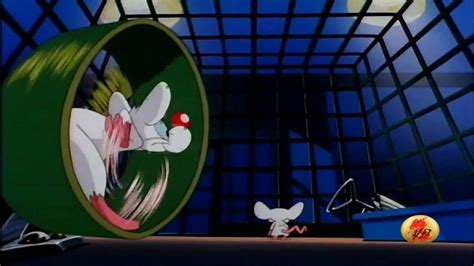 If you buy through link. Mignolo col Prof. - Pinky and the Brain - YouTube