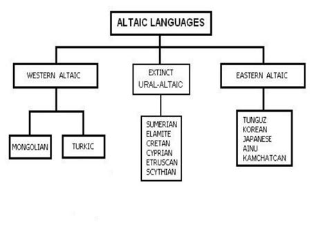 Azerbaijani As One Of The Altaic Languages