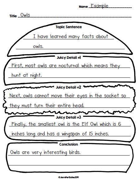 Second Grade Paragraph Examples