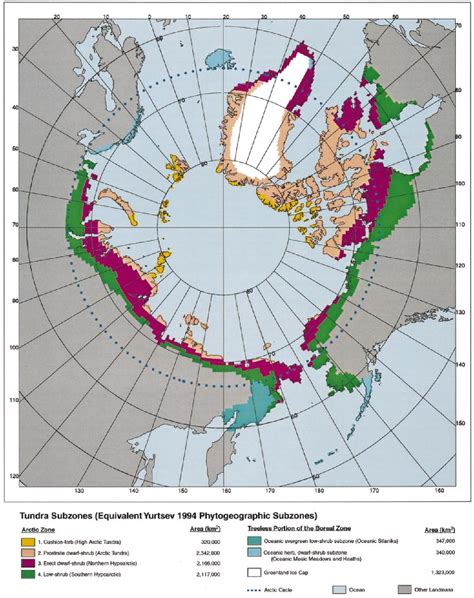 29 Map Of The Tundra Maps Online For You
