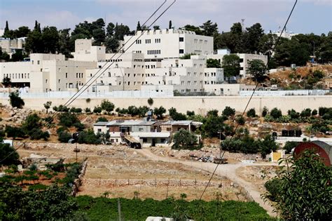 Unmasking Settler Violence | Palestine