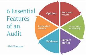 6 Essential Features Of An Audit Explained With A Chart