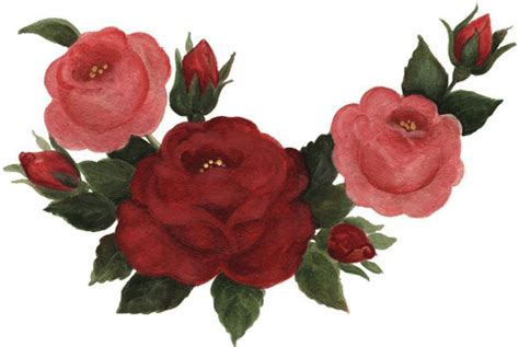 Imagenes De Flores Para Imprimir Gratis Colorear Dibujosletras