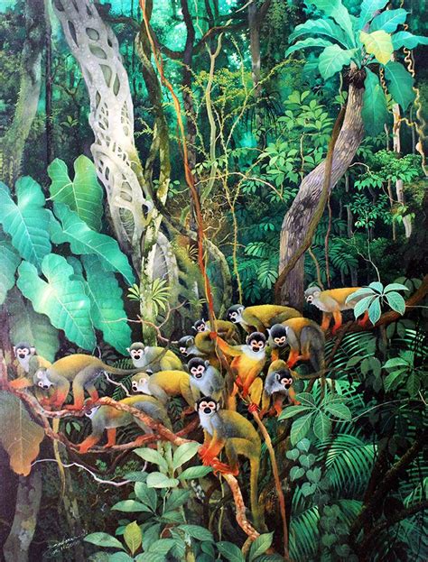 Rainforests Tropical Art Jungle Art Jungle Illustration