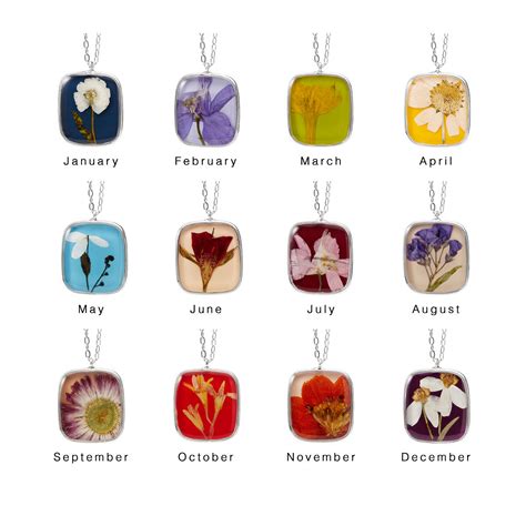 The months were originally based on the movement of the moon (the words moon and month are related), but this did not work out perfectly to one year. Birth Month Flower Necklace | pressed flowers, birth ...