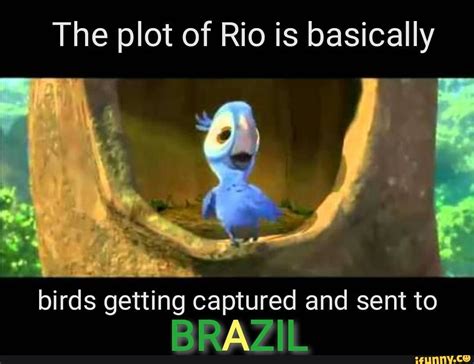 The Plot Of Rio Is Basically Birds Getting Captured And Sent To Ifunny