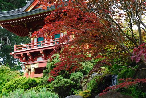 View the menu for japanese tea garden tea house and restaurants in san francisco, ca. Japanese Tea Garden, San Francisco