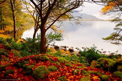 Free Download The Autumn Leaves Near Lake 1920x1200 For Your Desktop