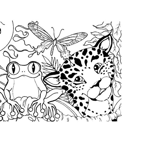 Brazil Rainforest Coloring Pages Coloring Pages