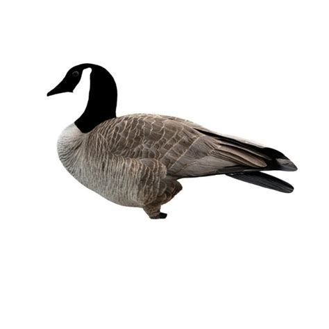 Canada Goose Silhouette Hunting Decoys From Xilei Buy Goose Hunting