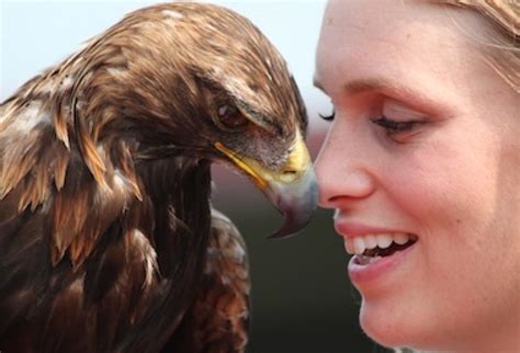 Nose To Beak With Golden Eagle Lets Go Outdoors Canada