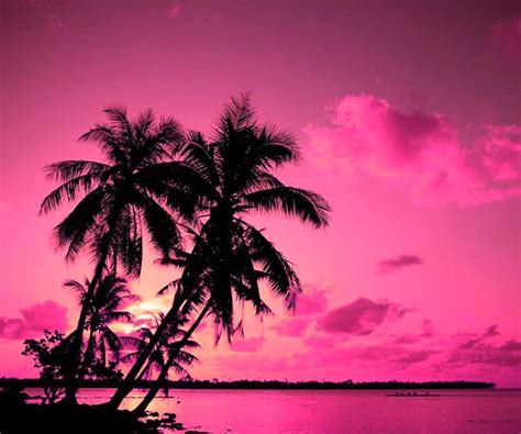 Pink Sunset Tahiti Ile Paradisiaque Belle Photo
