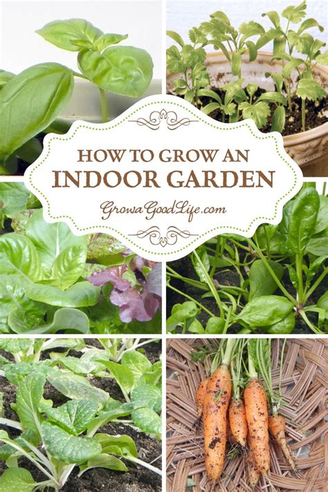 You Can Grow Vegetables In Your Own Indoor Garden Craving