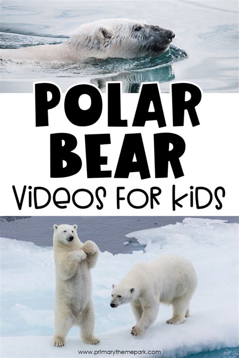 Polar Bears For Kids Artofit