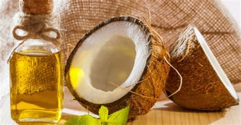 Uses Of Coconut Tree From Roots To Leaves Hubpages