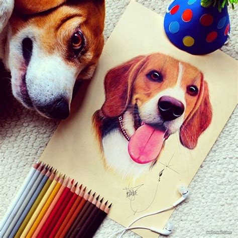 Colour Pencil Drawing Dog Pencildrawing2019