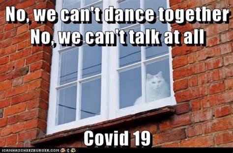 Privacy watchdog group big brother watch has warned that uk 'covid passports' officially rolled out for international travel will eventually be used domestically to restrict the movement of the population, and that the small print even admits it. Covid 19 - Lolcats - lol | cat memes | funny cats | funny ...