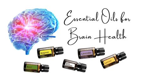 Essential Oils For Brain Health Zarine Bharda