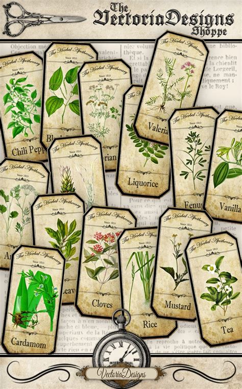 Herbal Apothecary Labels Apothecary Bottle Labels Spice Jar Etsy