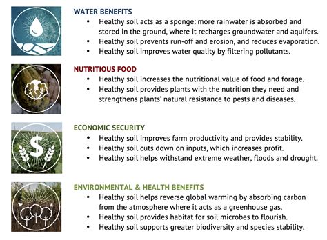 The Many Benefits Of Healthy Soil Nm Healthy Soil Working Group