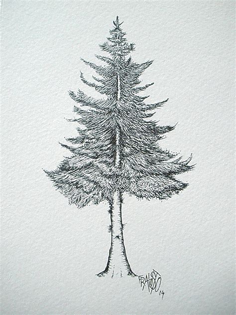 How to draw a pine tree step by step #pinetree #tree. Choinka Rysunek Olowkiem - Rysunki HD