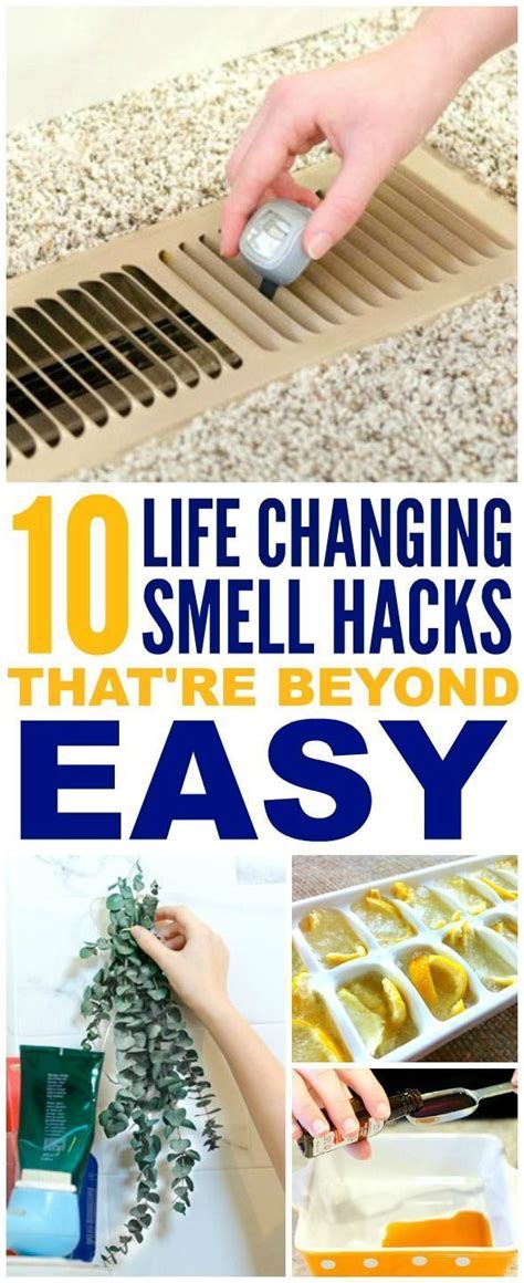 10 Brilliant Ways To Make Your Home Smell Amazing House Smells House