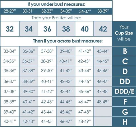 resultado de imagen para bra size chart bra size charts bra size calculator measure bra size