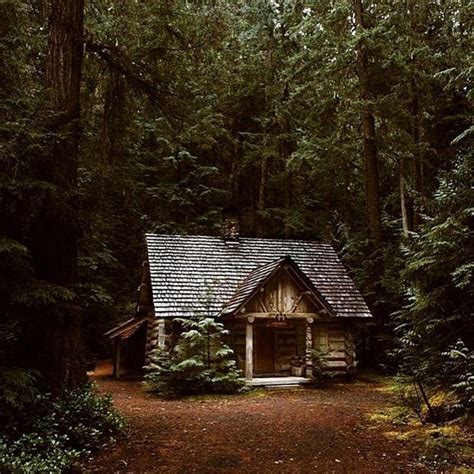 Exciting Tips To Build Your Rustic Log Cabin In The Mountains Or Next