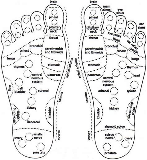 Foot Reflexology Massage A Step By Step Guide With Images Foot