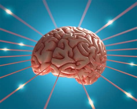 A Rare Phenomenon Of Reversible Brain Shrinkage Lifetech News