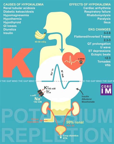 Brown Hospital Medicine On Twitter Hypokalemia Causes Effects And Ekg