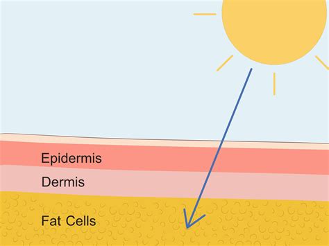 7 ways to best absorb vitamin d supplements wikihow