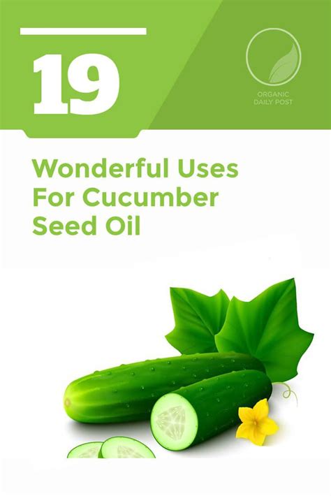 19 Wonderful Uses For Cucumber Seed Oil On Essential Oils Diy