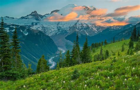 Alpine Meadows And Sunset Colors Mount Rainier National Park Oc 5365