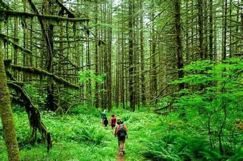 Visit 6 Incredible Rain Forests In India For An Epic Adventure In 2023
